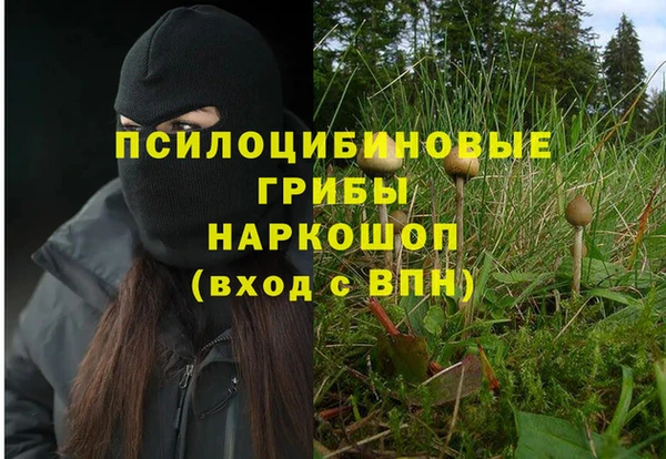 гидра Алзамай