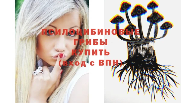 прущий лед Алексеевка