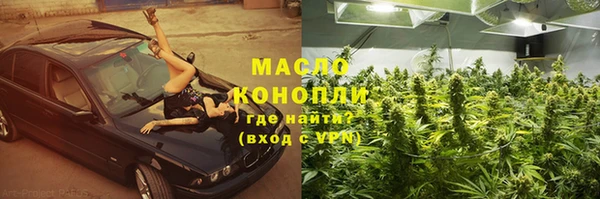 гидра Алзамай