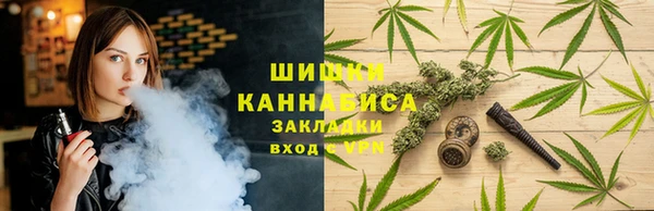 соль ск Алексин