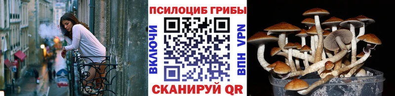 Галлюциногенные грибы GOLDEN TEACHER  Бирюч 